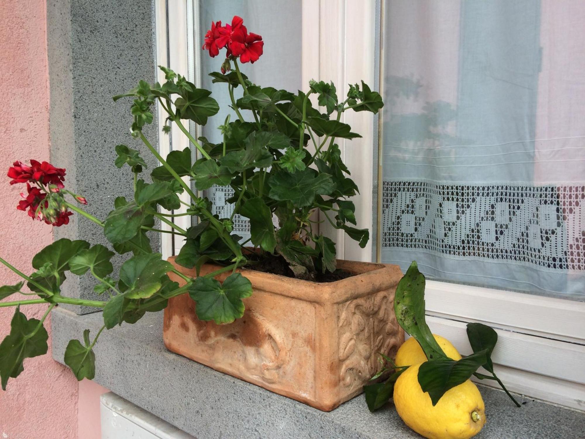 Il Giardino Segreto Bed and Breakfast Trappitello Eksteriør billede