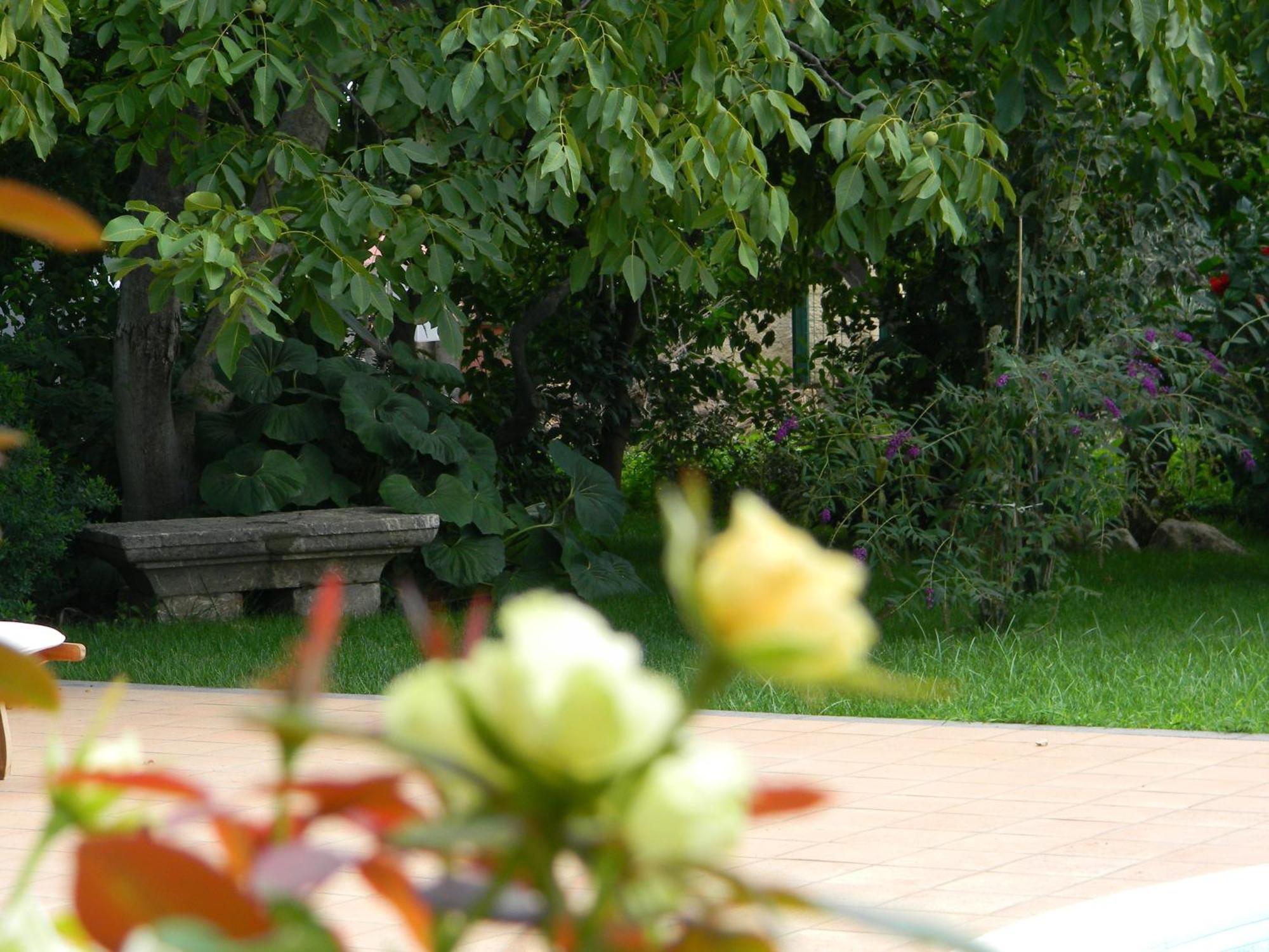 Il Giardino Segreto Bed and Breakfast Trappitello Eksteriør billede